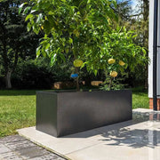 Lush greenery thriving in long planters.